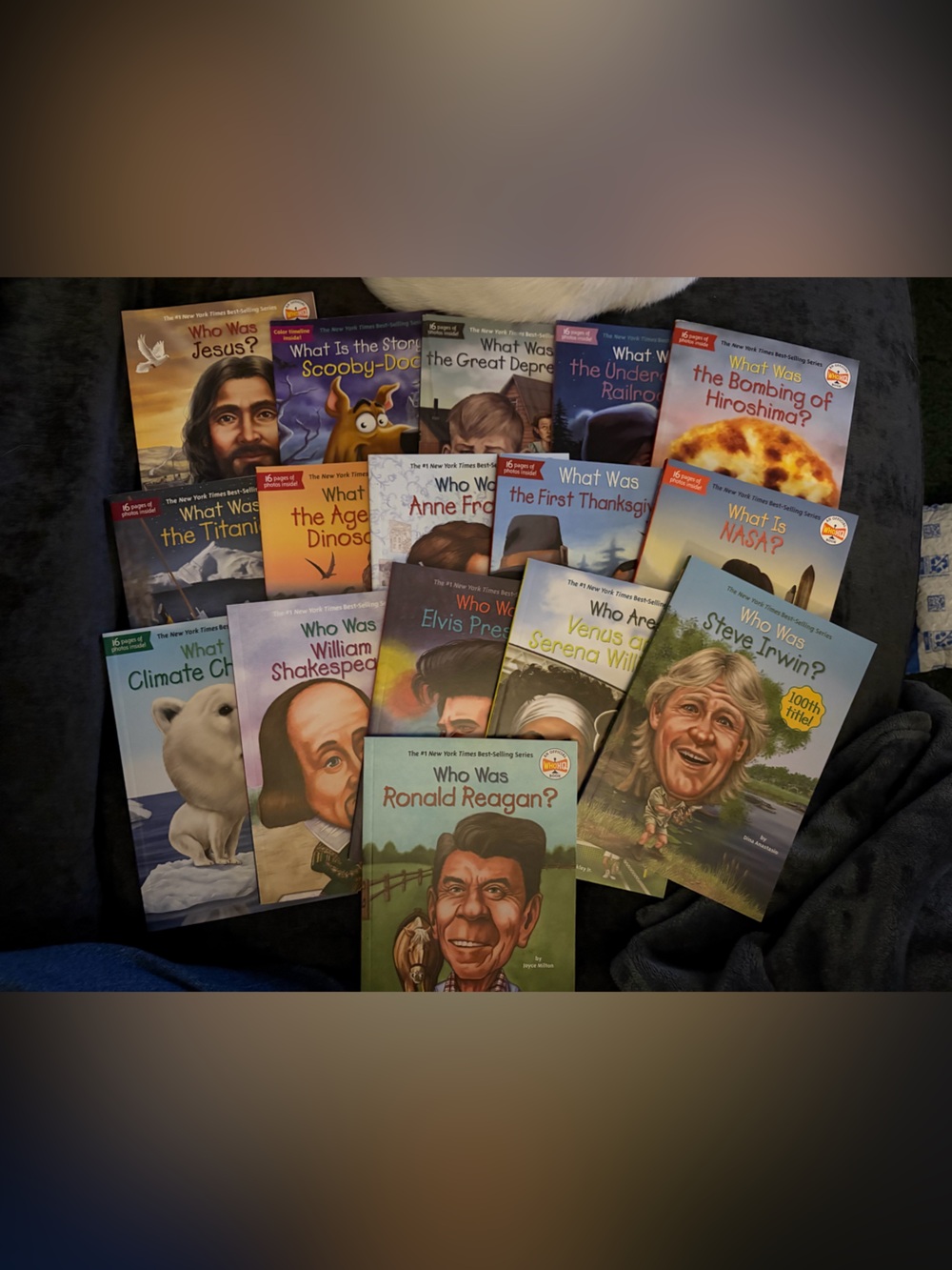 Who Was? Illustrated Biography Book Set in Mixed Colors